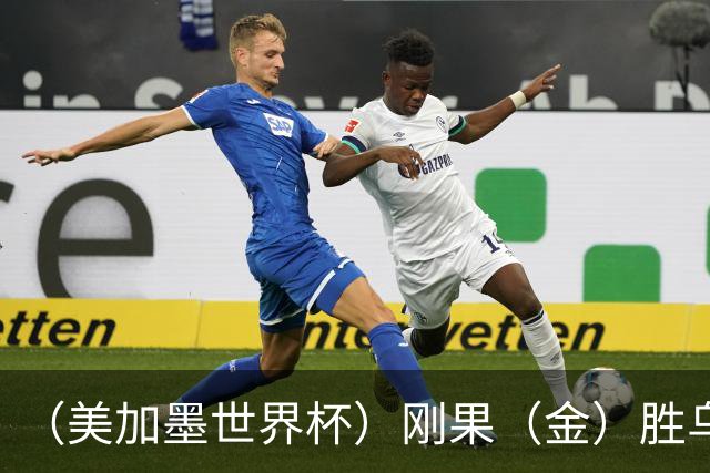 （美加墨世界杯）刚果（金）胜乌兹别克斯坦晋级 韩国无缘32强